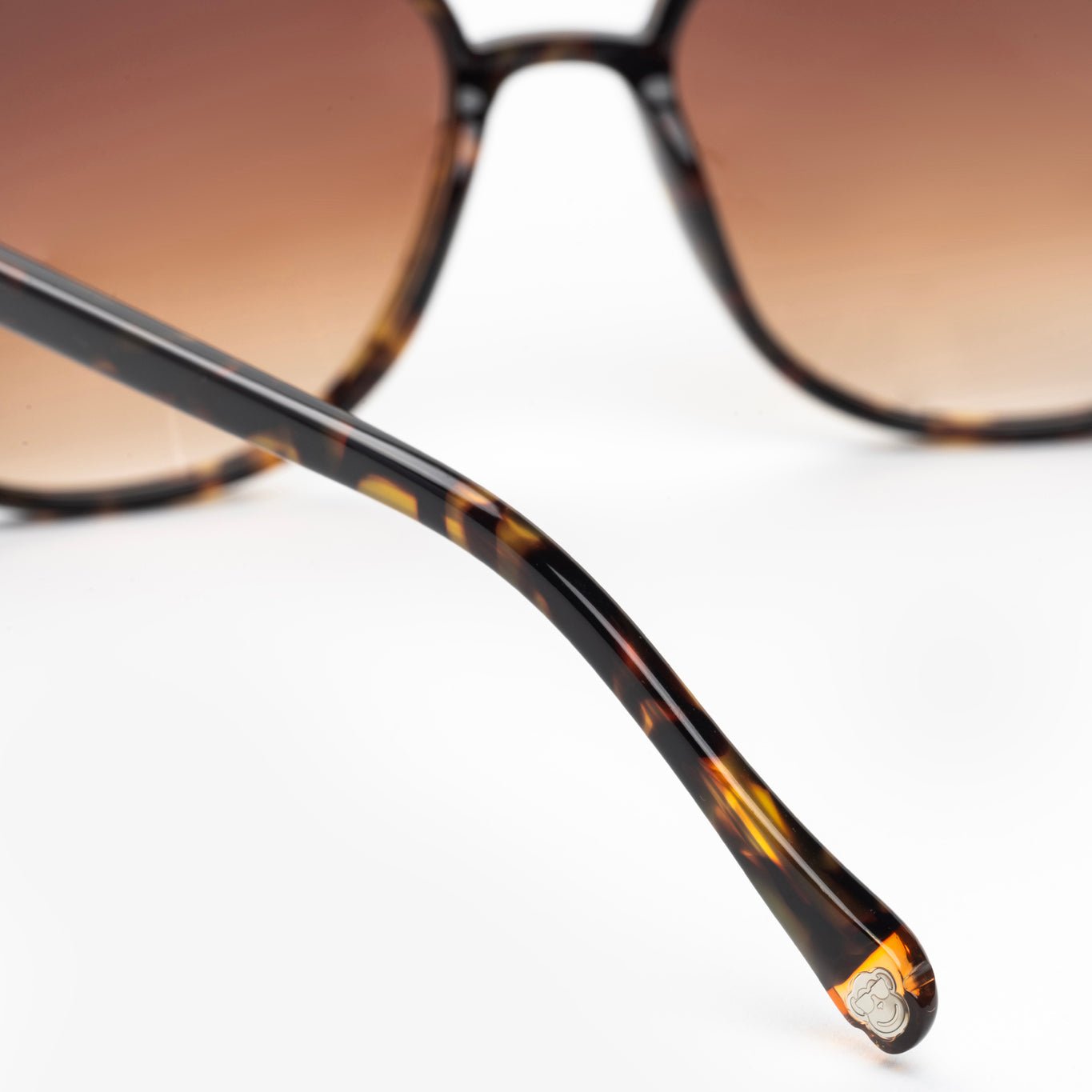 Birdman Dark Brown - Sajú Colombia