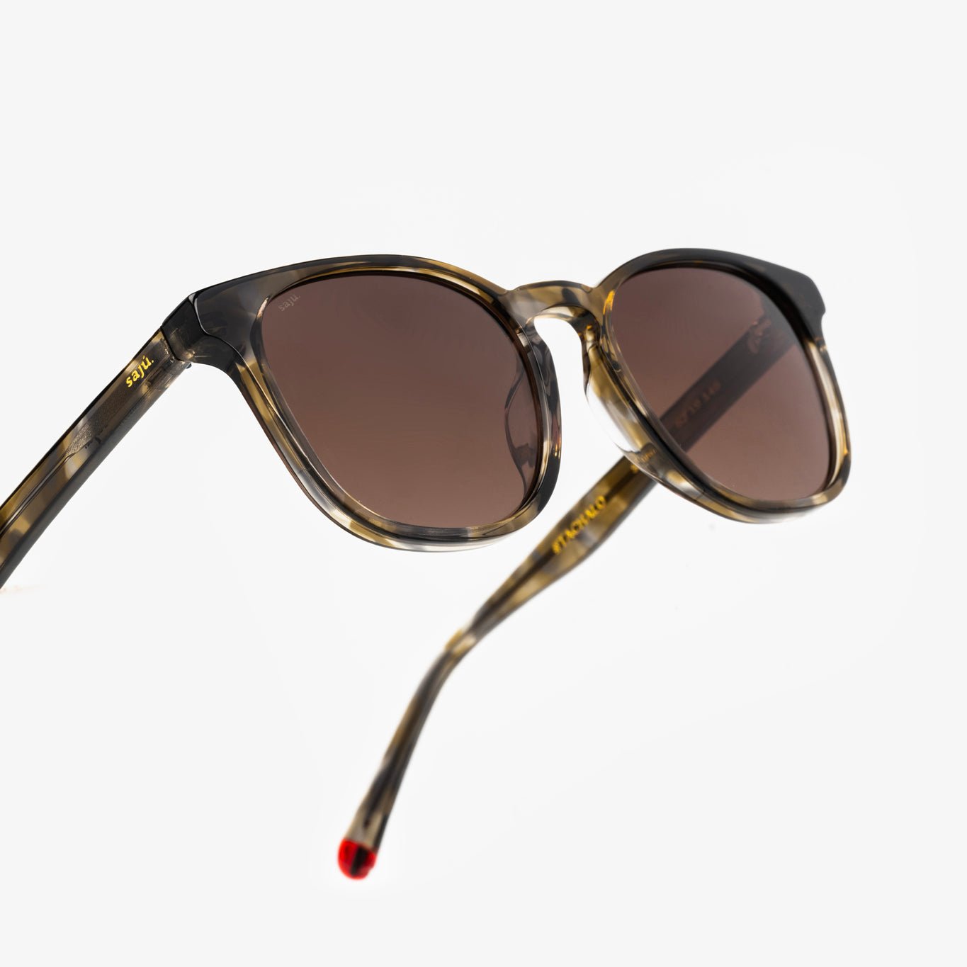 Chelsea Oyster - Sajú Colombia