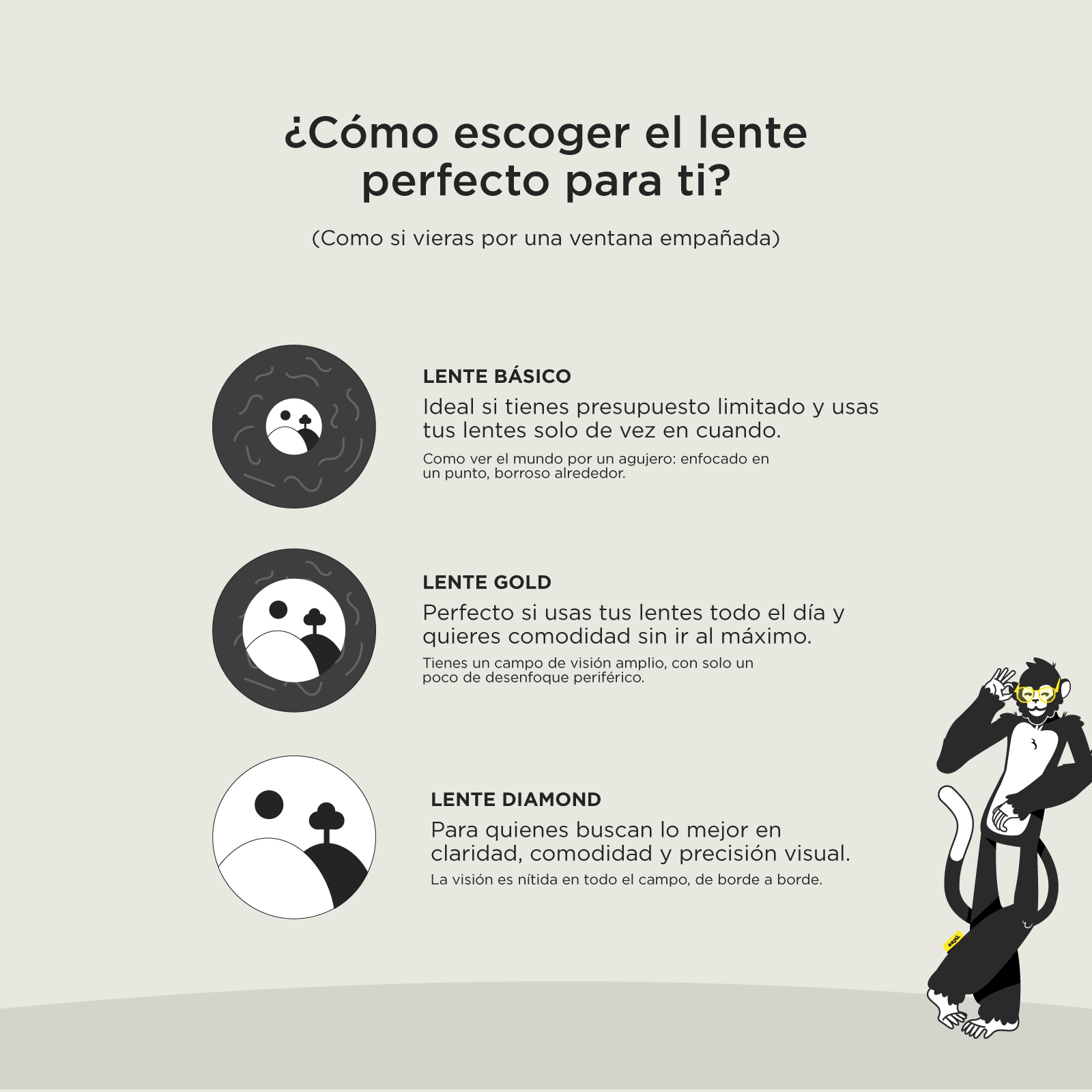 Rocket Acetato Formuladas • Marco (4 Estilos) - Sajú Colombia