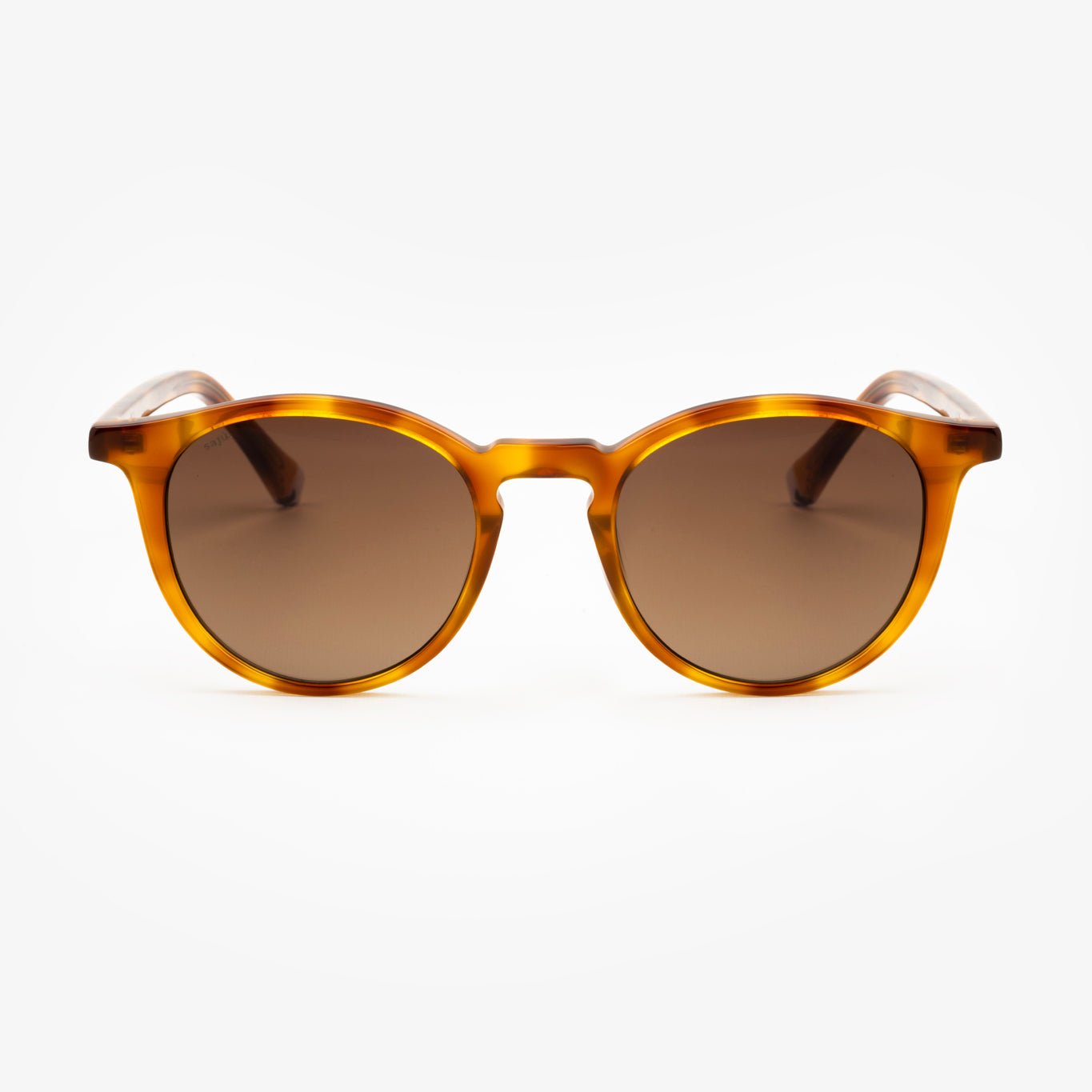 Rocket Walnut - Sajú Colombia