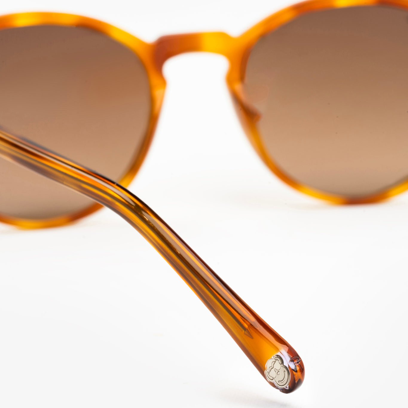 Rocket Walnut - Sajú Colombia