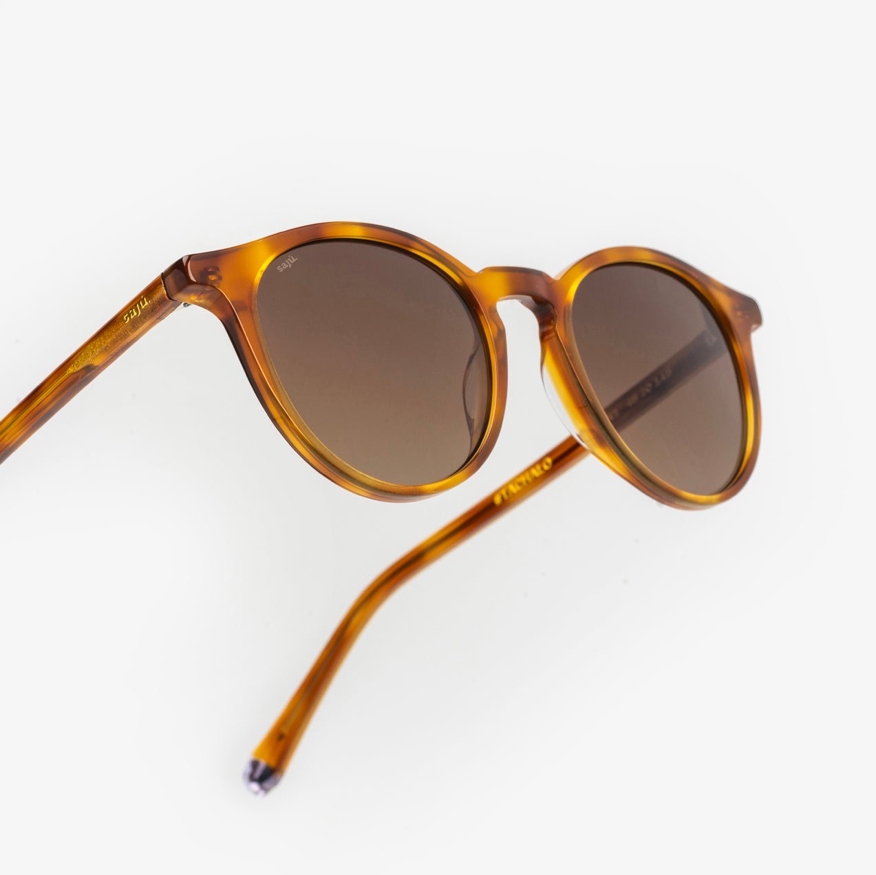 Rocket Walnut - Sajú Colombia