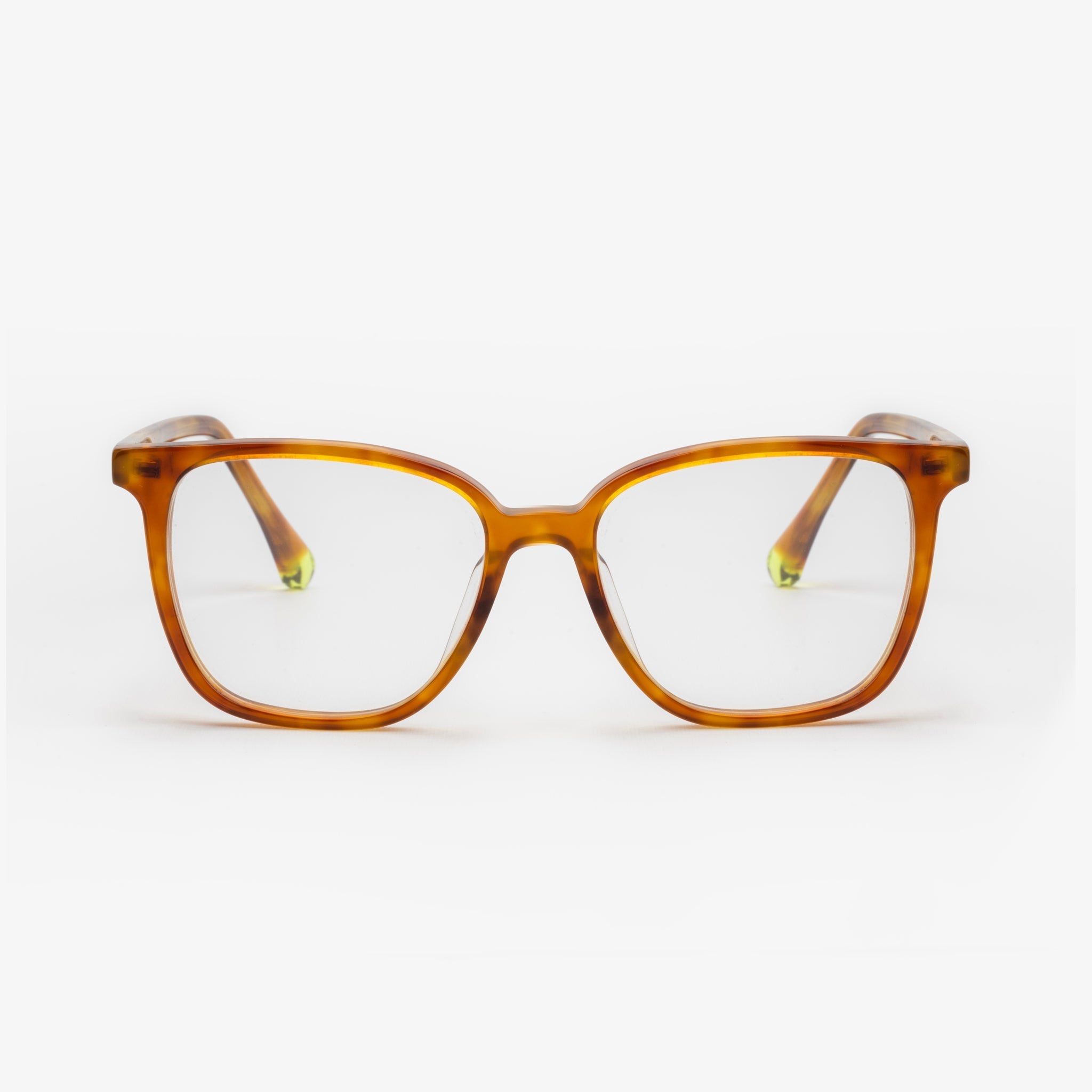 Venice Cinnamon Formuladas - Sajú Colombia